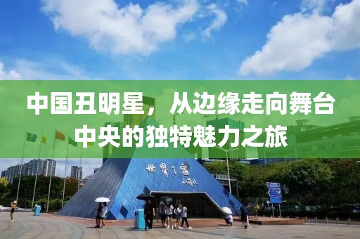 中国丑明星，从边缘走向舞台中央的独特魅力之旅