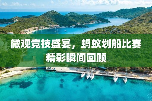 微观竞技盛宴，蚂蚁划船比赛精彩瞬间回顾