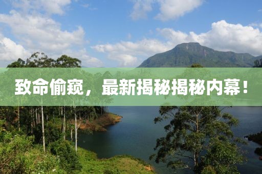 致命偷窥，最新揭秘揭秘内幕！
