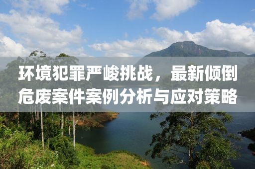 环境犯罪严峻挑战，最新倾倒危废案件案例分析与应对策略