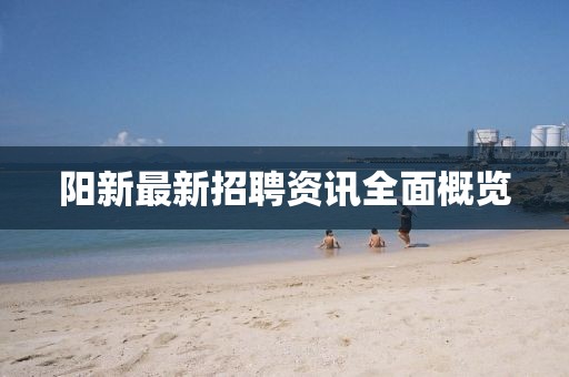阳新最新招聘资讯全面概览