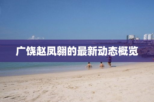 广饶赵凤翱的最新动态概览