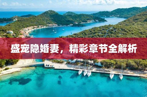盛宠隐婚妻，精彩章节全解析
