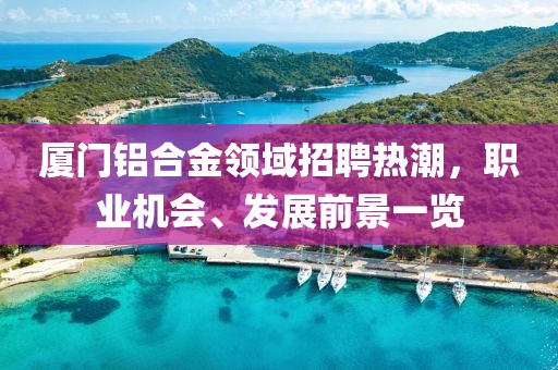 厦门铝合金领域招聘热潮，职业机会、发展前景一览
