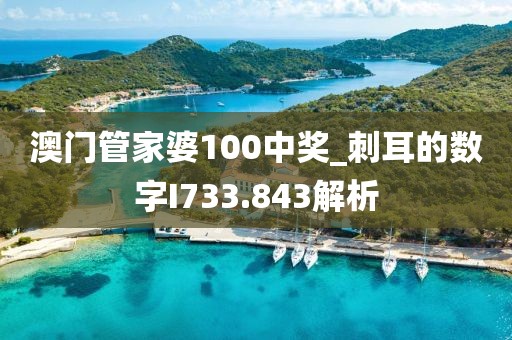 澳门管家婆100中奖_刺耳的数字I733.843解析