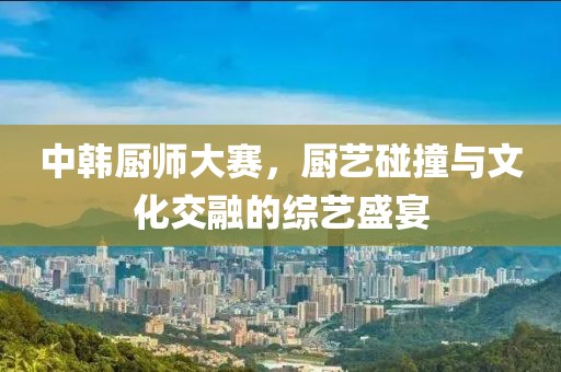 中韩厨师大赛，厨艺碰撞与文化交融的综艺盛宴