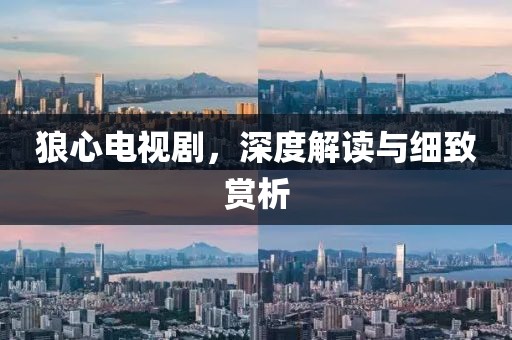 狼心电视剧，深度解读与细致赏析