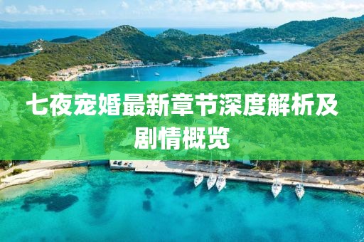 七夜宠婚最新章节深度解析及剧情概览