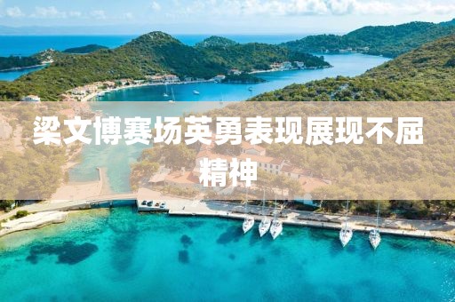 梁文博赛场英勇表现展现不屈精神