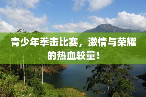 青少年拳击比赛，激情与荣耀的热血较量！