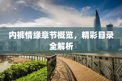 内裤情缘章节概览，精彩目录全解析