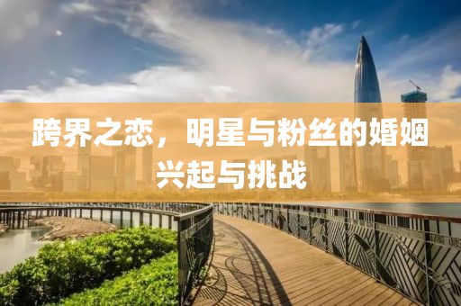 跨界之恋，明星与粉丝的婚姻兴起与挑战