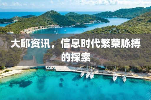 大邱资讯，信息时代繁荣脉搏的探索