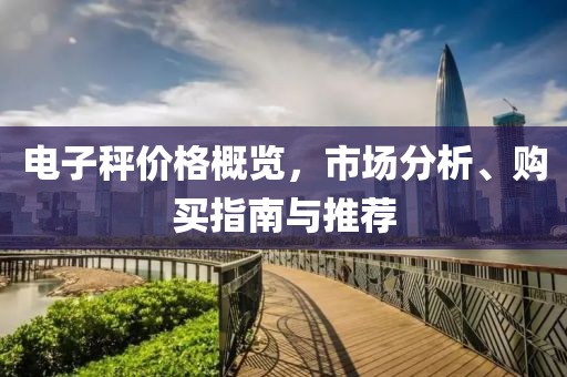 电子秤价格概览，市场分析、购买指南与推荐