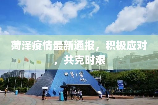 菏泽疫情最新通报，积极应对，共克时艰