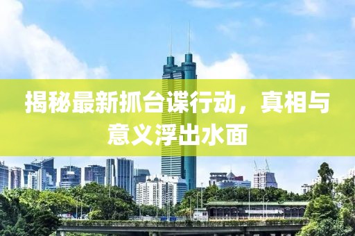 揭秘最新抓台谍行动，真相与意义浮出水面