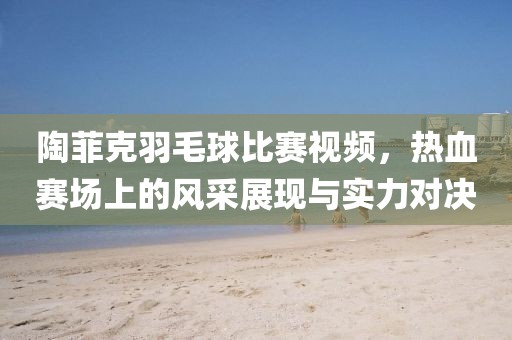 陶菲克羽毛球比赛视频，热血赛场上的风采展现与实力对决