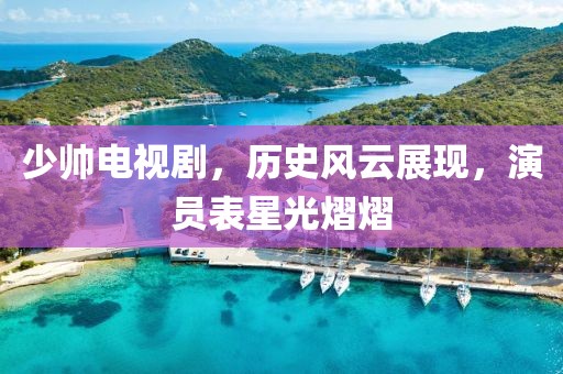 少帅电视剧，历史风云展现，演员表星光熠熠