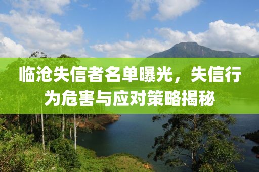 临沧失信者名单曝光，失信行为危害与应对策略揭秘