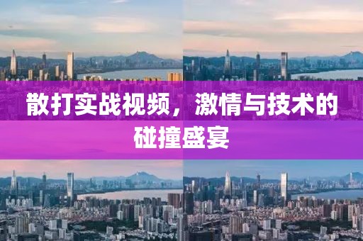散打实战视频，激情与技术的碰撞盛宴