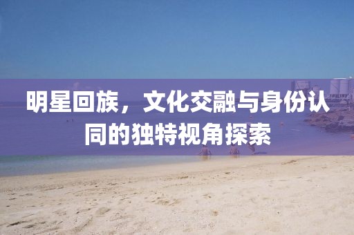 明星回族，文化交融与身份认同的独特视角探索