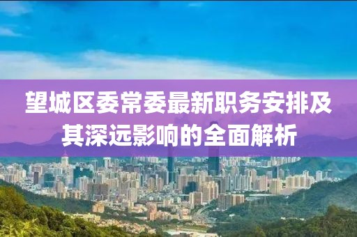 望城区委常委最新职务安排及其深远影响的全面解析