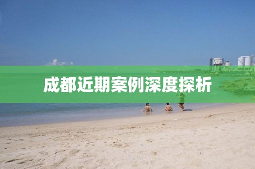 成都近期案例深度探析