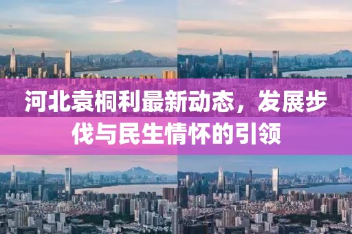 河北袁桐利最新动态，发展步伐与民生情怀的引领