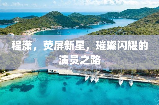 程潇，荧屏新星，璀璨闪耀的演员之路