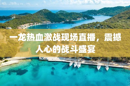 一龙热血激战现场直播，震撼人心的战斗盛宴