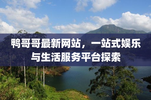 鸭哥哥最新网站，一站式娱乐与生活服务平台探索