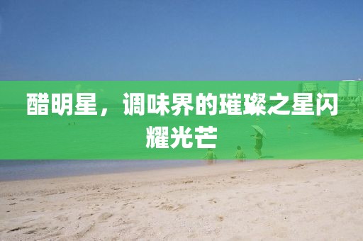 醋明星，调味界的璀璨之星闪耀光芒