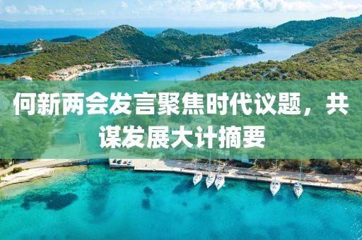 何新两会发言聚焦时代议题，共谋发展大计摘要