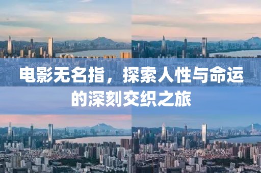 电影无名指，探索人性与命运的深刻交织之旅