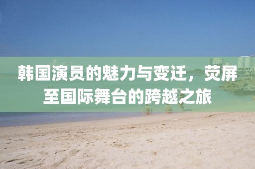 韩国演员的魅力与变迁，荧屏至国际舞台的跨越之旅