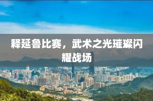 释延鲁比赛，武术之光璀璨闪耀战场