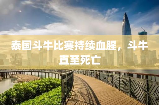 泰国斗牛比赛持续血腥，斗牛直至死亡