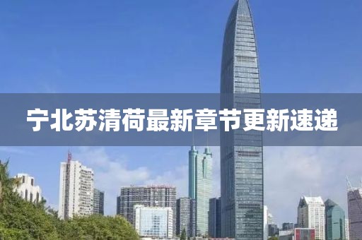 宁北苏清荷最新章节更新速递