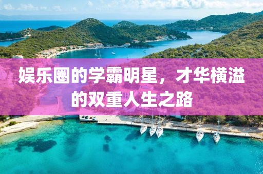 娱乐圈的学霸明星，才华横溢的双重人生之路