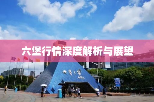六堡行情深度解析与展望