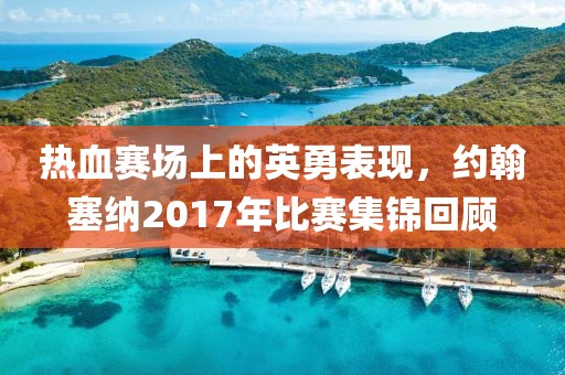 热血赛场上的英勇表现，约翰塞纳2017年比赛集锦回顾