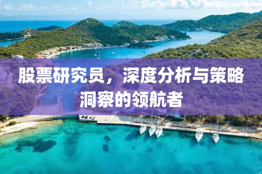 股票研究员，深度分析与策略洞察的领航者