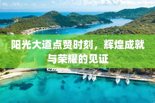 阳光大道点赞时刻，辉煌成就与荣耀的见证