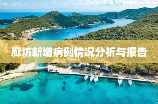 廊坊新增病例情况分析与报告