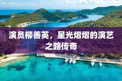 演员柳善英，星光熠熠的演艺之路传奇