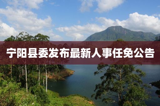 宁阳县委发布最新人事任免公告