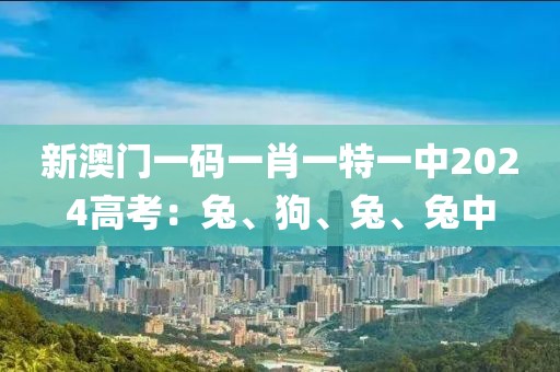 新澳门一码一肖一特一中2024高考：兔、狗、兔、兔中