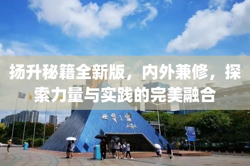 扬升秘籍全新版，内外兼修，探索力量与实践的完美融合