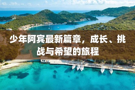 少年阿宾最新篇章，成长、挑战与希望的旅程