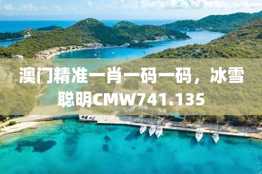 澳门精准一肖一码一码，冰雪聪明CMW741.135